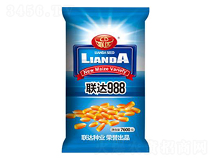 聯(lián)達988-玉米種子-聯(lián)達種業(yè)