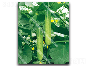 ���꺵�S��-�S�ϷN��-����N�I(y��)