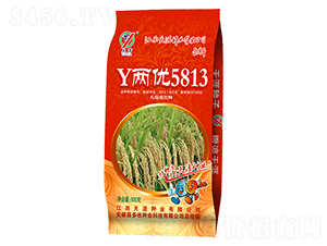 Y�Ƀ�(y��u)5813-ˮ���N��-ϲ����