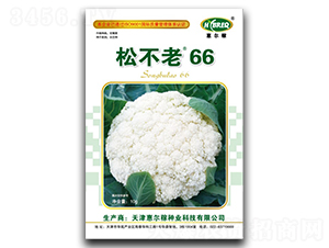 �ɲ���66-�ɻ��˷N��-�ݠ���