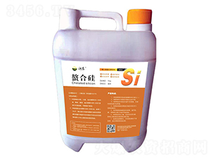 ���Ϲ��-�h���r(n��ng)�I(y��) 