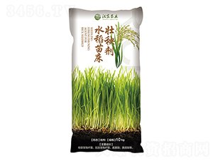 水稻苗床壯秧劑-漢富農(nóng)業(yè)