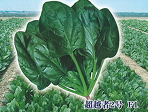 ��Խ��2̖(h��o)F1-���˷N��-ʥ�A���S