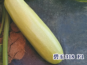 ����318F1-�����J�N��-ʥ�A���S