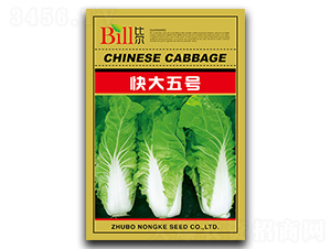 �����̖(h��o)-��˷N��-�Ƞ�