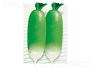 ƽ�S��̖(h��o)-�}���N��-ƽ�S�N�I(y��)