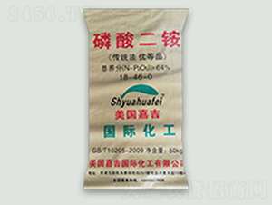 �M(j��n)�������������-���̷ʘI(y��)