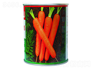 �-���}���N��-���d��