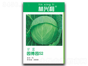 �@���@52-���{�N��-���d��