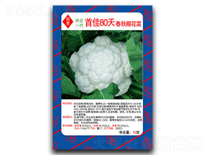 �׼�80-��Ҭ�˷N��-���d��