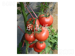 �������-���ѷN��-��(l��)ɭԴ