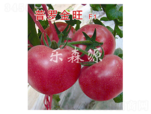 ���_����-���ѷN��-��ɭԴ