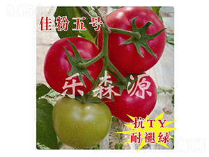 �ѷ���̖(h��o)-���ѷN��-��ɭԴ