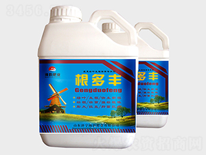 �����S�_ʩ��-��퍷ʘI(y��)