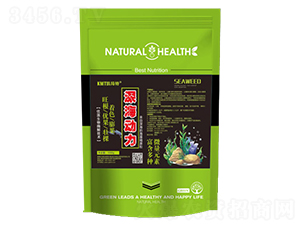 �����-�P����