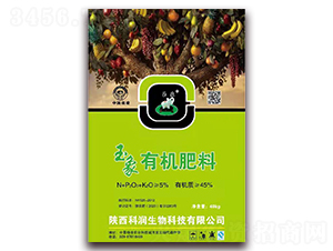 �����ЙC(j��)����-�Ɲ�(r��n)����