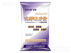 �๦�܏ͺϾ��̓�(y��u)⛻�����-���ǷʘI(y��)