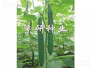 ���S68-�S�ϷN��-����