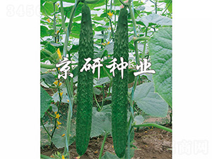 ���S298-�S�ϷN��-����