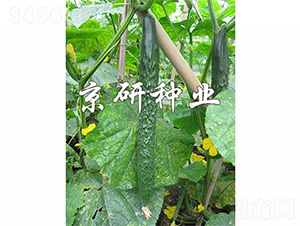 ���д���G3̖(h��o)-�S�ϷN��-����