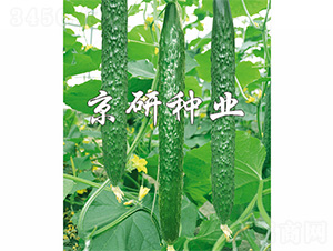 ���д���G-�S�ϷN��-����