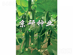 ��������2̖(h��o)-�S�ϷN��-����