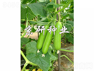 ���д�������2̖(h��o)-�S�ϷN��-����