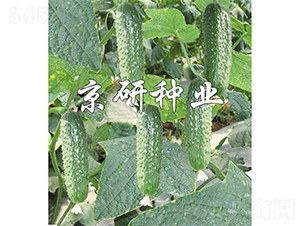 ������n��90-�S�ϷN��-����