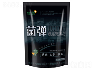 ΢�������-����-Ԫ������