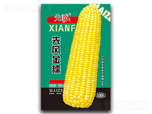 ���L(f��ng)��Ŵ-Ŵ���׷N��-���L(f��ng)