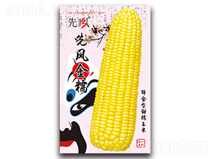 ���L(f��ng)��Ŵ-��Ŵ���׷N��-���L(f��ng)