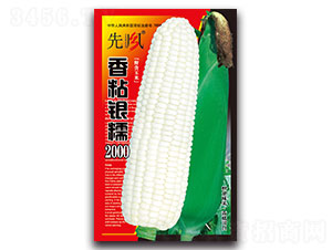 ��ճ�yŴ2000-Ŵ���׷N��-���L(f��ng)