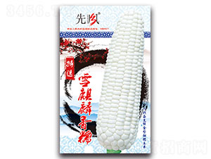 ѩ������Ŵ-��Ŵ���׷N��-���L(f��ng)