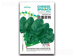 �Wī����-���˷N��-���L(f��ng)