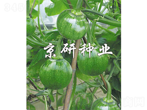 ����2̖(h��o)-�ϹϷN��-����