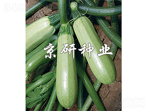 ����1̖(h��o)-�����J�N��-����