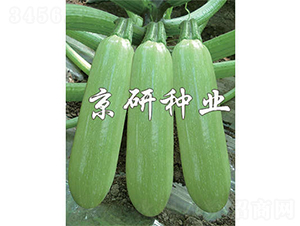 ����4̖(h��o)-�����J�N��-����