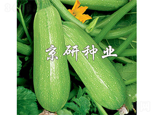 ����5̖(h��o)-�����J�N��-����