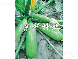 ����6̖(h��o)-�����J�N��-����