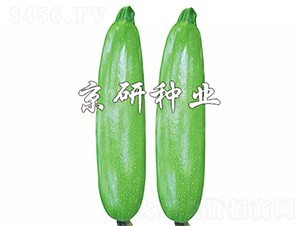 ���8̖(h��o)-�����J�N��-����