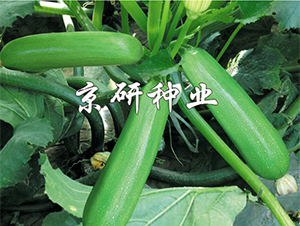 ����10̖(h��o)-�����J�N��-����