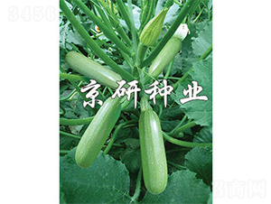 ����33-�����J�N��-����