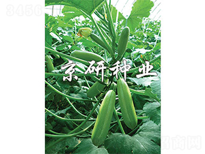 ����36-�����J�N��-����