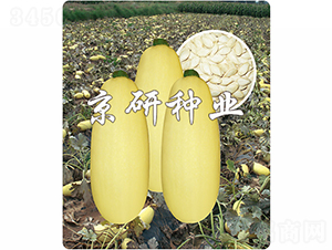 �������S1̖-�����J�N��-����