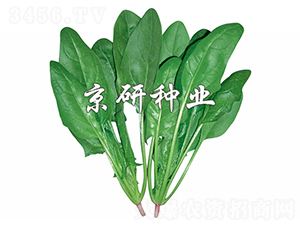 ���s10̖-���˷N��-����