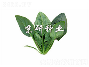 ����700-���˷N��-����