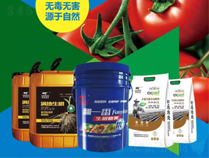 黃瓜+韭菜施肥方案-聯(lián)邦嘉吉