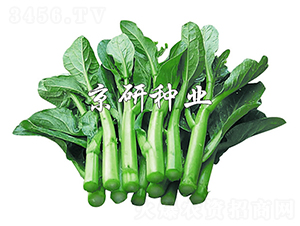 ����80-���ķN��-����