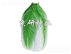 �����S3̖(h��o)-�ײ˷N��-����