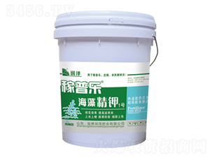 ���徫�1̖(h��o)-���՘�-��(r��n)�ɷʘI(y��)